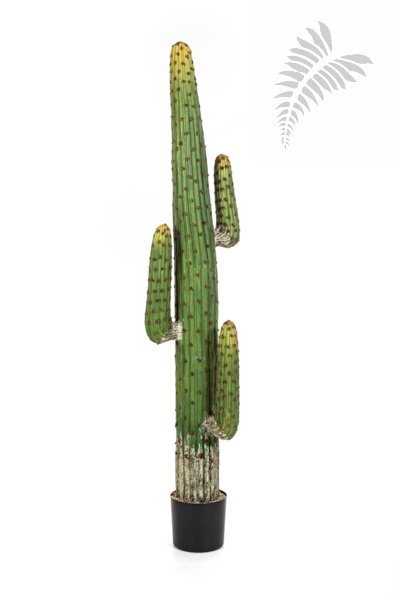 MEXICAN CACTUS 170 CM 1839N