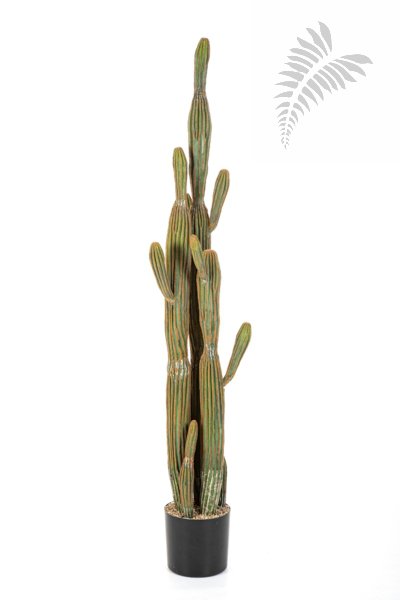 COLUMNAR CACTUS 150 CM 1841N