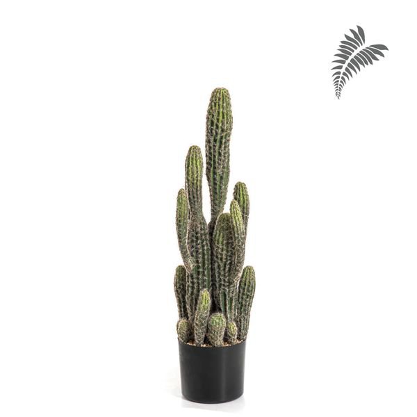 Column Cactus 76cm 1843N