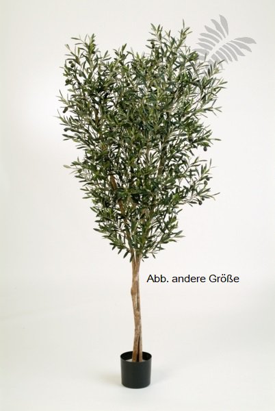 NATURAL OLIVE TREE W/F 120cm 28004N