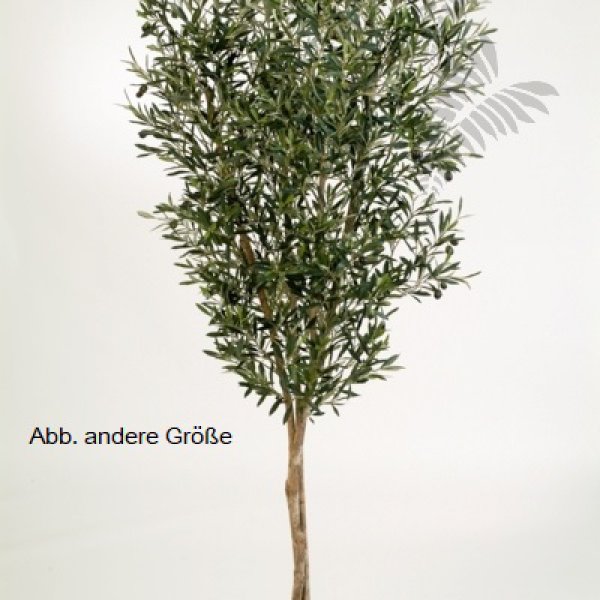 NATURAL OLIVE TREE W/F 150cm 28005N