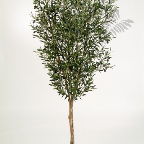NATURAL OLIVE TREE W/F 180cm 28006N