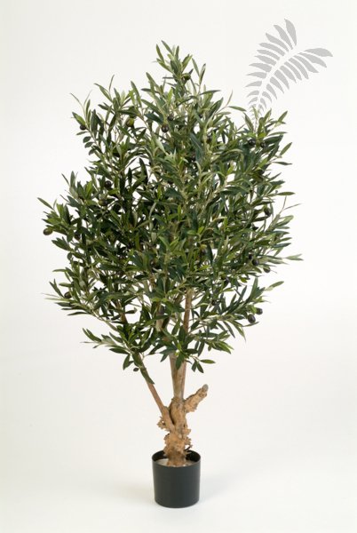 NAT. TWISTED OLIVE TREE W/F 120cm 28204N