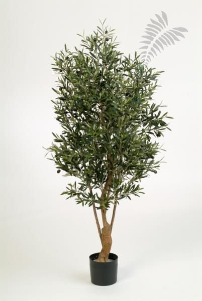 Nat Twisted Olive Tree w/fruits FR 150cm 28205N-FR