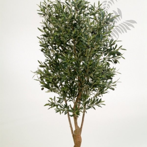 NAT. TWISTED OLIVE TREE W/F 150cm 28205N
