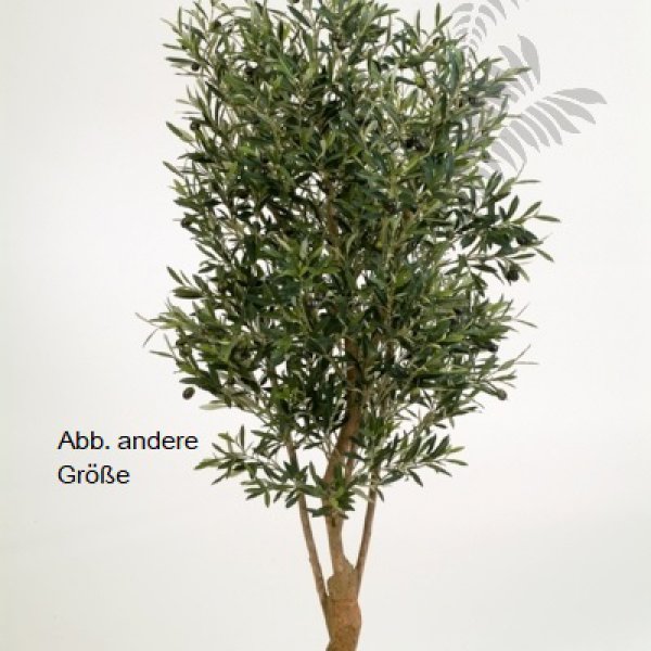 NAT. TWISTED OLIVE TREE W/F 180cm 28206N