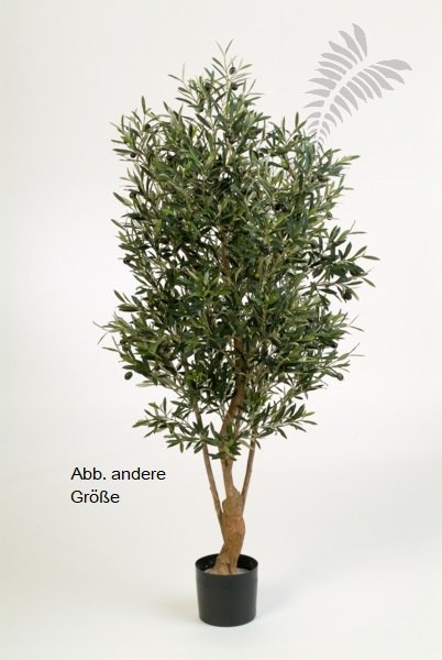 NAT. TWISTED OLIVE TREE W/F 180cm 28206N