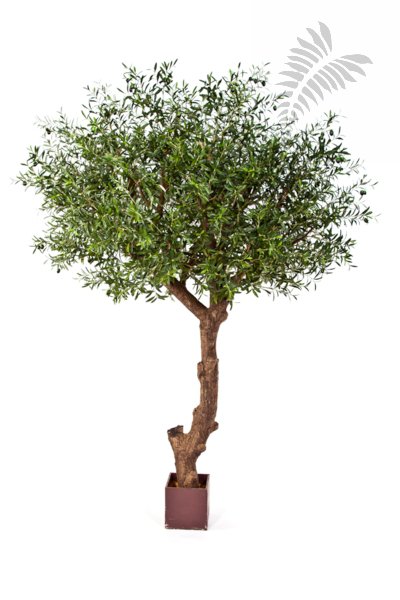 NAT. OLIVE TREE POLY TRUNK 29009N