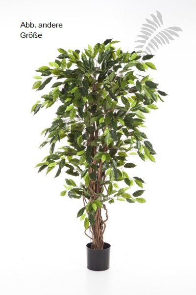 FICUS LIANA 120cm 30504N