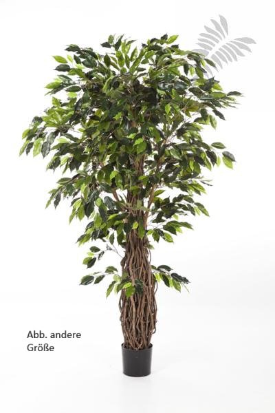 FICUS LIANA DE LUXE 150cm 31505N