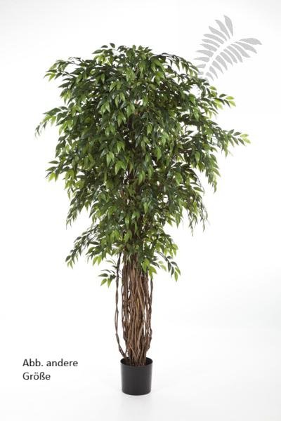 FRENCH FICUS LIANA DE LUXE 150cm 31605N
