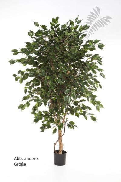 FICUS DELUXE EXOTICA TREE 150cm 31805N