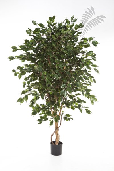 FICUS DELUXE EXOTICA TREE 180cm 31806N