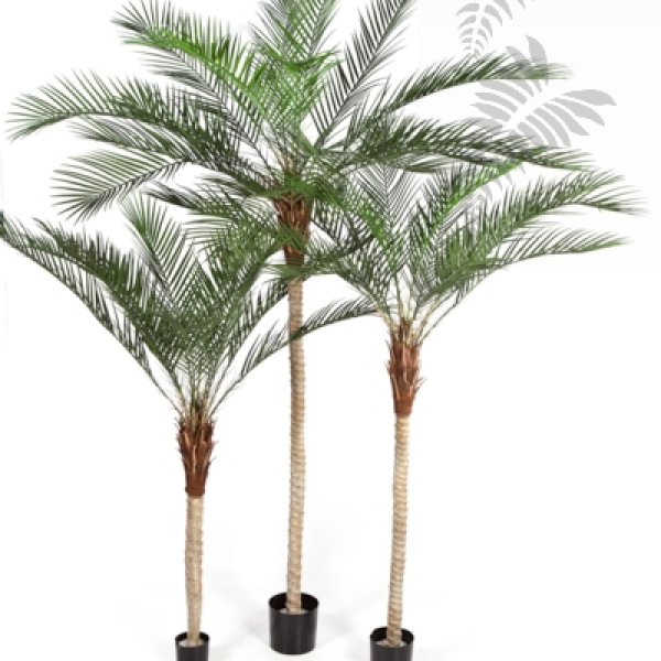 PHOENIX PALM PLASTIC LEAF 180cm 33106N
