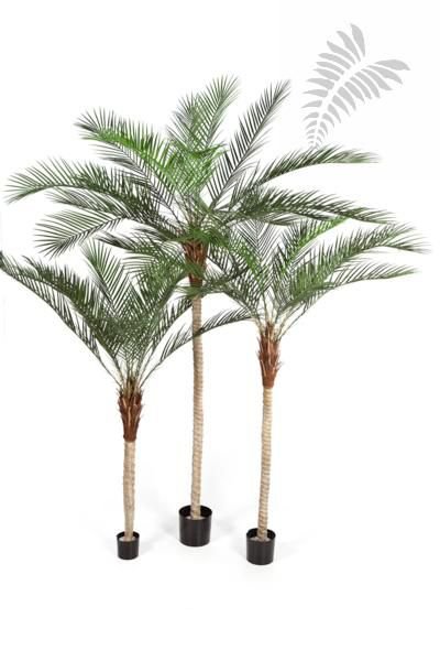 PHOENIX PALM PLASTIC LEAF 210cm 33107N