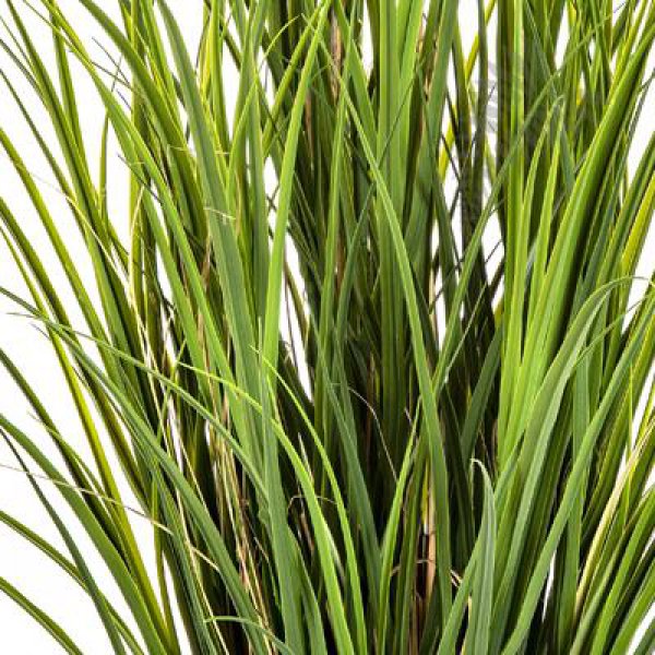 PLASTIC REED GRASS 110cm 33304N