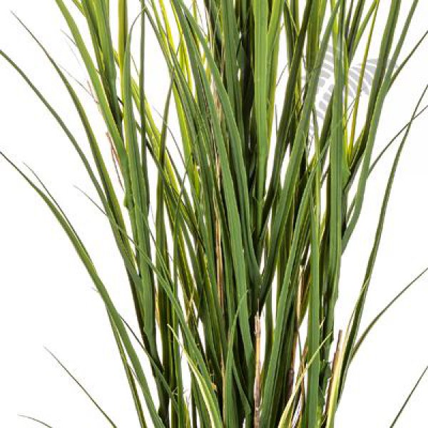 PLASTIC REED GRASS 165cm 33305N