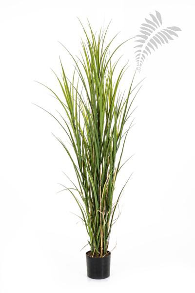 PLASTIC REED GRASS 165cm 33305N