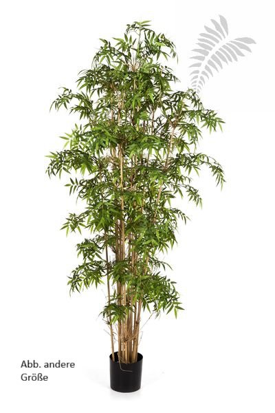 NEW JAPANESE BAMBOO 230cm 34108N