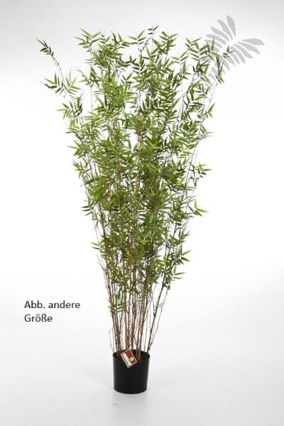 ORIENTAL BAMBOO TREE 100cm 34203N