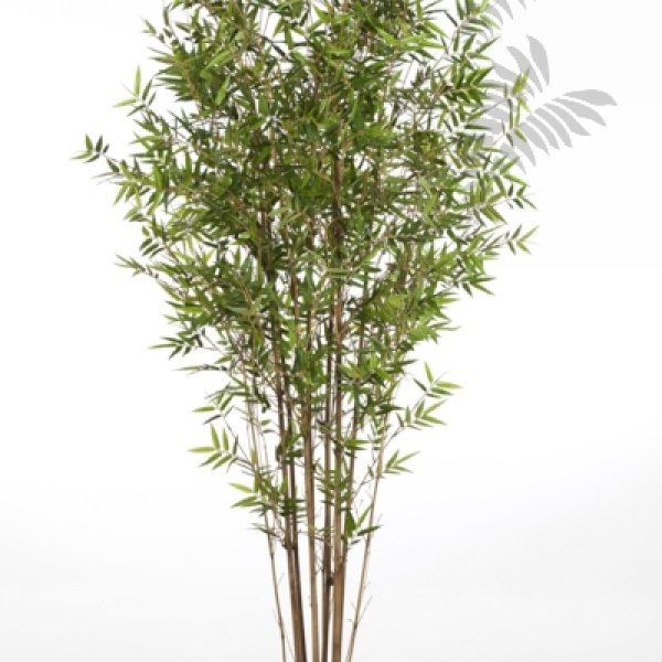 JAPANESE ORIENTAL BAMBOO 180cm 34306N