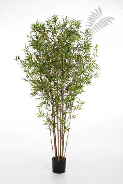 JAPANESE ORIENTAL BAMBOO 180cm 34306N