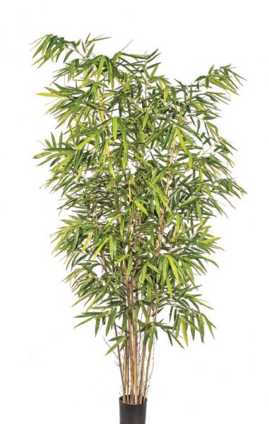 NEW BAMBOO BIG LEAF 240cm 34508N