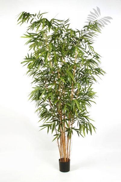NEW BAMBOO BIG LEAF 300cm 34510N