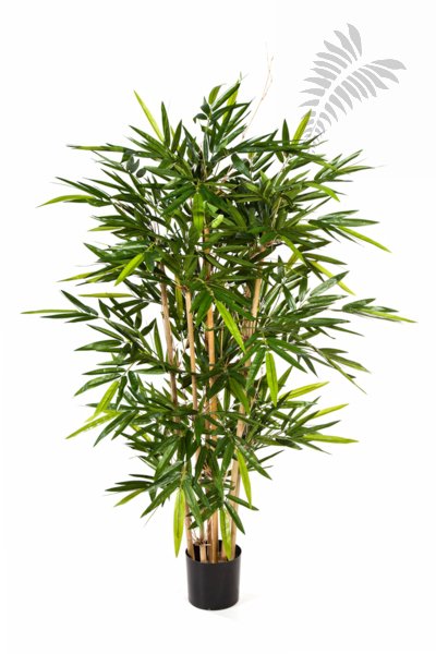 FR NEW BAMBOO TREE 34605FR
