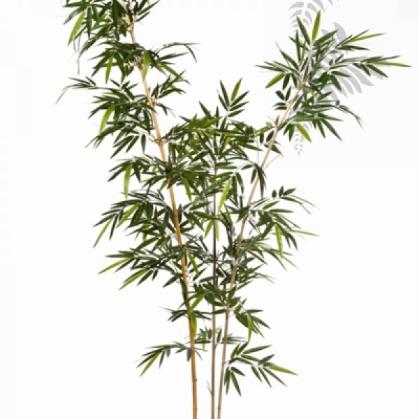 NEW BAMBOO ELEGANT TREE 34909N