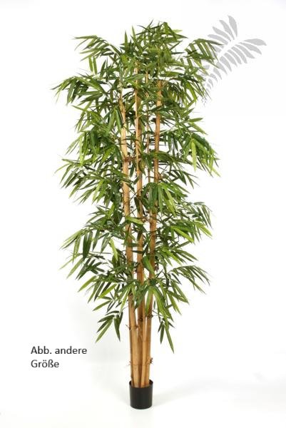NEW GIANT BAMBOO BIG LEAF 35408N