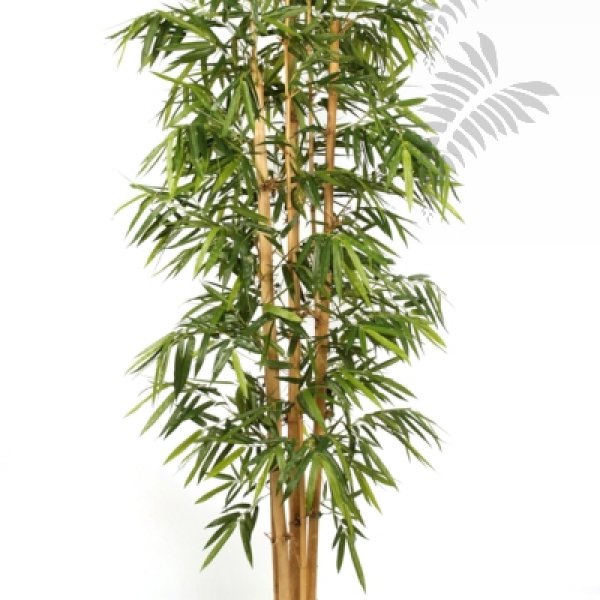 NEW GIANT BAMBOO BIG LEAF 35410N