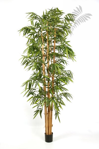 NEW GIANT BAMBOO BIG LEAF 35410N