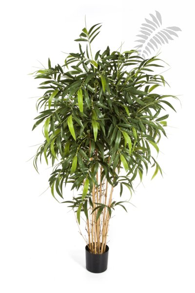 NEW NATURAL BAMBOO TREE 35706N