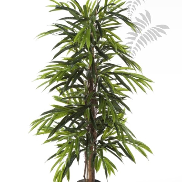 FR DELUXE LONGIFOLIA TREE 35805FR