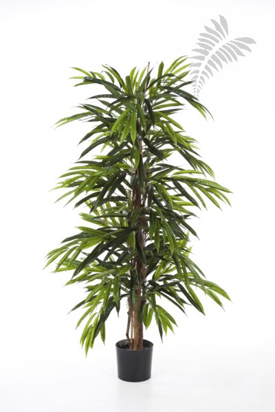 FR DELUXE LONGIFOLIA TREE 35805FR