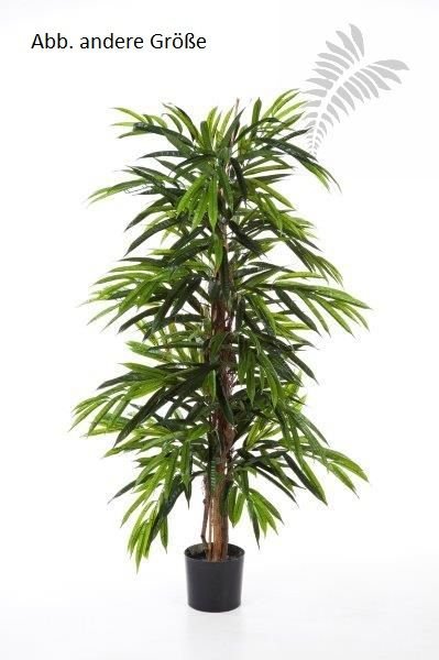 FR DELUXE LONGIFOLIA TREE 35806FR