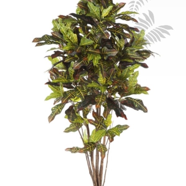 FR CROTON TREE 37606FR