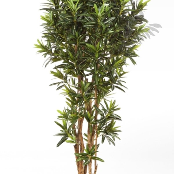 CROTON GOLDFINGER REFLEXA 37806N