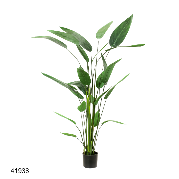 Heliconia 175cm 419838