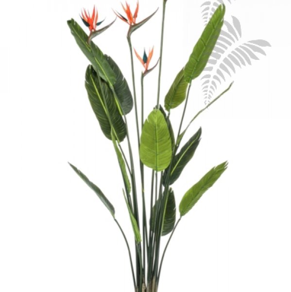 Strelitzia tree with 4 flowers 150cm 423968