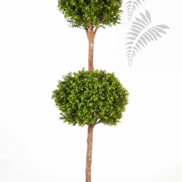 BOXWOOD DOUBLE BALL TREE 43905N