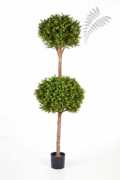 BOXWOOD DOUBLE BALL TREE 43905N