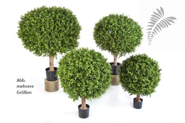 BOXWOOD BALL 50 cm 44550N