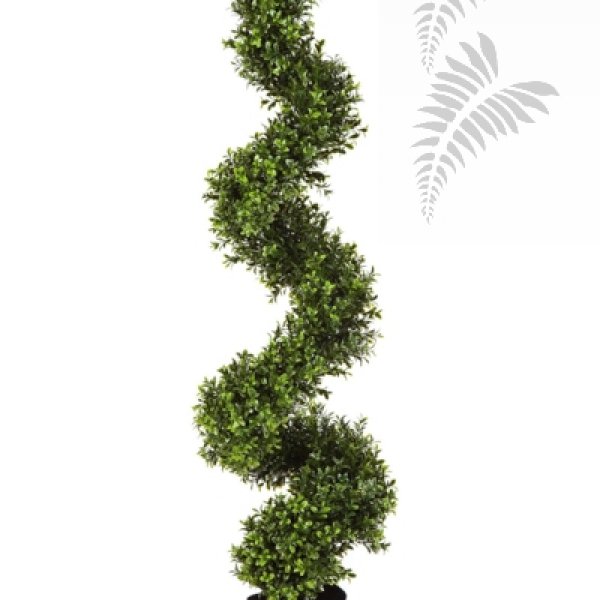 Boxwood Spiral Tree 135cm 45005N