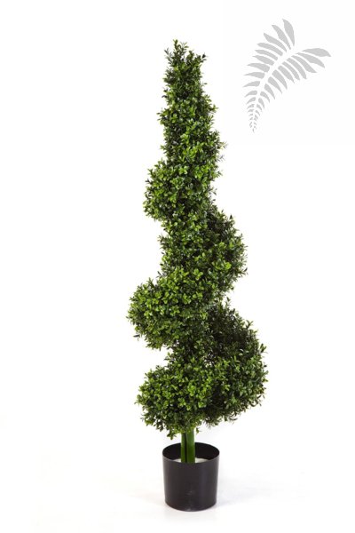 Boxwood Royal Spiral Tree 135cm 45205N