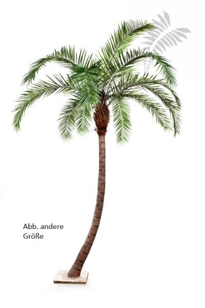 PHOENIX CURVED PALM 390cm 47339N
