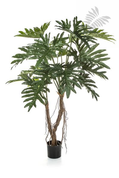 PHILODENDRON ROOT TREE 140 CM 50905N