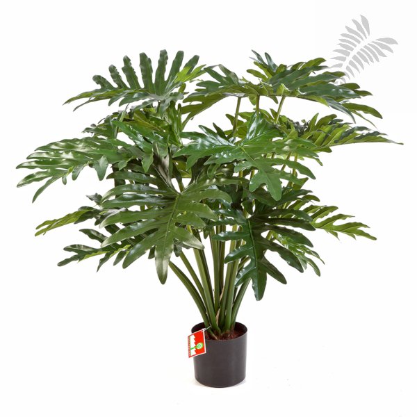 PHILODENDRON BUSH X20 90cm 51003N