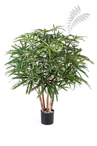 ARALIA BUSH TREE 85cm 51503N